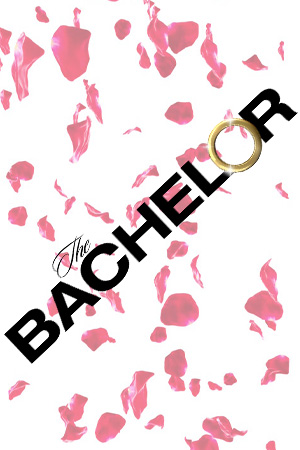 Le Logo du Bachelor