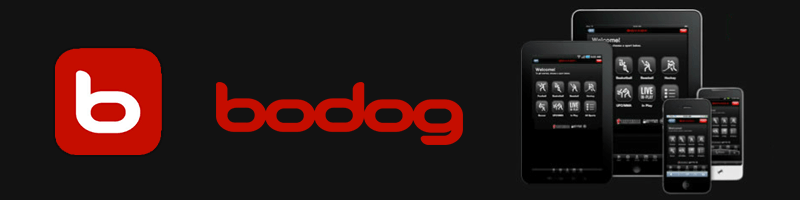 Bannière Logo Bodog