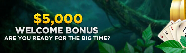 5000 Bonus de Bienvenue Wild Casino